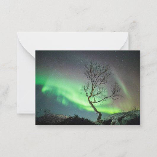 De Correspondance Carte Northern Lights Tree (Devant)