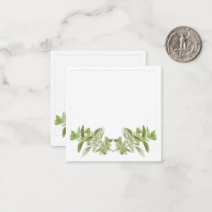 De Correspondance Carte OREGANO 2,5 pouces Carré à note plate