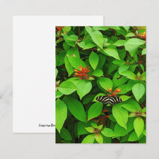 De Correspondance Carte pour notes papillon (Devant / Derrière)