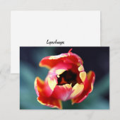 De Correspondance Carte pour notes Tulip (Devant / Derrière)