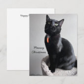 De Correspondance Carte vacances Cat (Devant / Derrière)