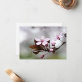 De Correspondance Cherry Blossom Carte pour notes (Devant/Arrière en situation)