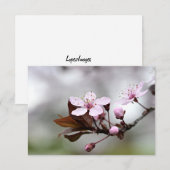 De Correspondance Cherry Blossom Carte pour notes (Devant / Derrière)