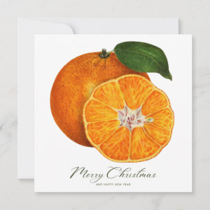 De Correspondance Joyeux Noël Oranges Photo Carte Budget