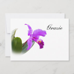 De Correspondance Merci, Grazie, Italien, Carte Orchidée