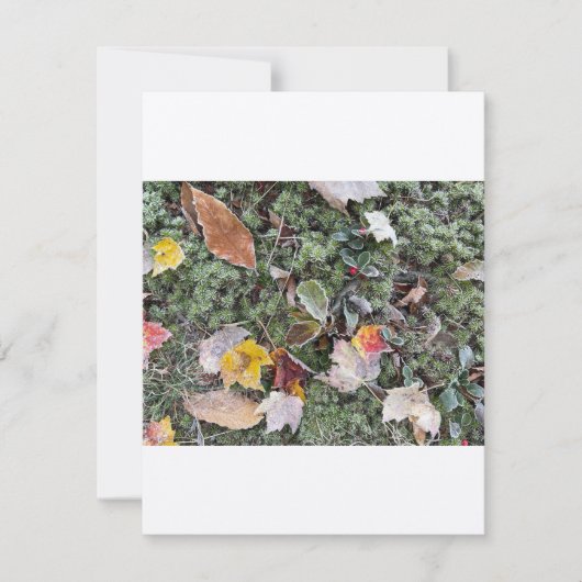 De Correspondance Natures gel dur, carte à note plate (Devant)