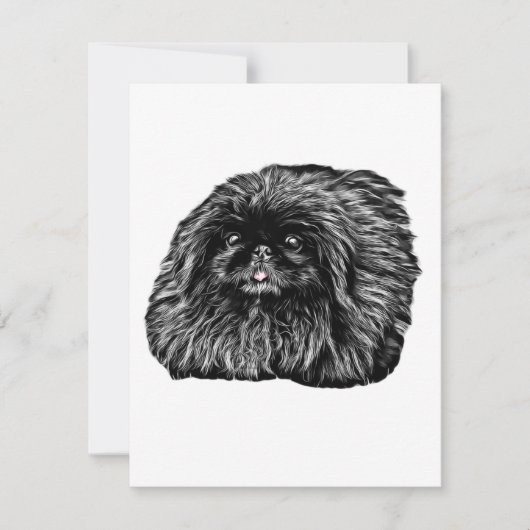 De Correspondance Papeterie Pekingese - carte blanche "Fuzz" (Devant)