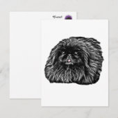 De Correspondance Papeterie Pekingese - carte blanche "Fuzz" (Devant / Derrière)