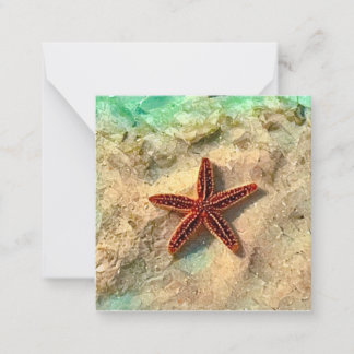 De Correspondance Set mini carte pour notes Starfish