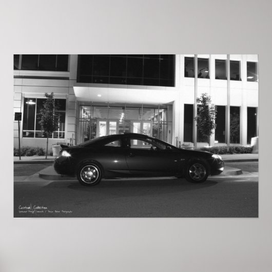 De cougar poster (Voorkant)