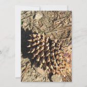 De Coulter Pinecone Feestdagenkaart (Voorkant)