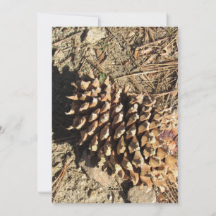 De Coulter Pinecone Feestdagenkaart