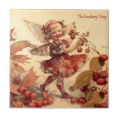 De Cranberryfee Tegeltje (Voorkant)