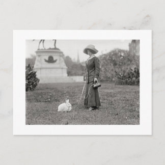 De Crazy Bunny Lady Briefkaart