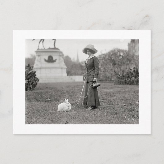 De Crazy Bunny Lady Briefkaart (Voorkant)