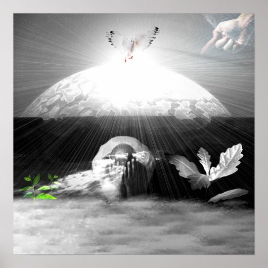 De creatie poster (Voorkant)