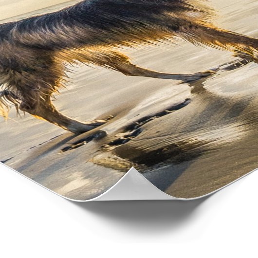 De creatie van het leven en het Dog-gedicht Poster (Hoek)