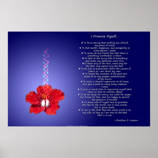 De creed van Optimist: Inspirerend Hibiscus Poster (Voorkant)