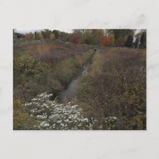 De Creek Briefkaart (Voorkant)