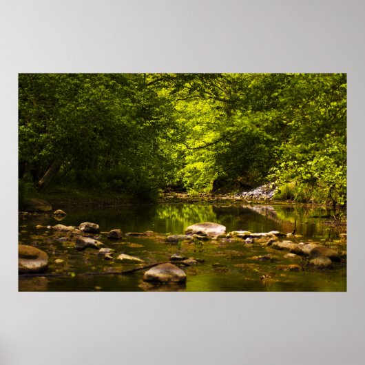 De Creek Poster (Voorkant)