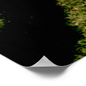 De cricket Match Poster (Hoek)