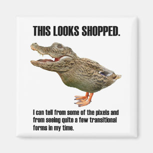 De Crocoduck-bedrog Magneet