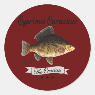 De Crucian Carp is vissoort Ronde Sticker