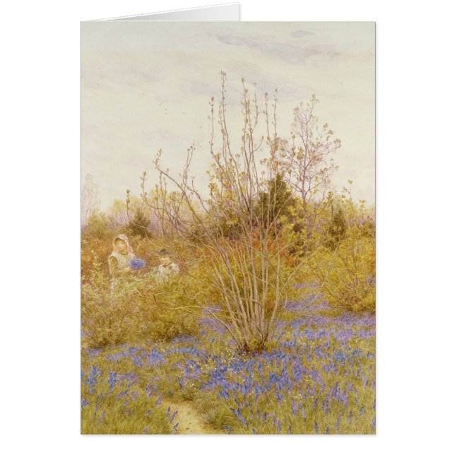 De Cuckoo (Voorkant)