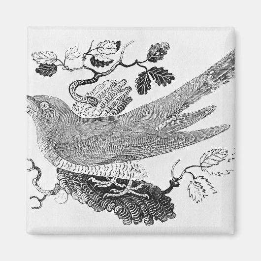 De Cuckoo Magneet (Voorkant)