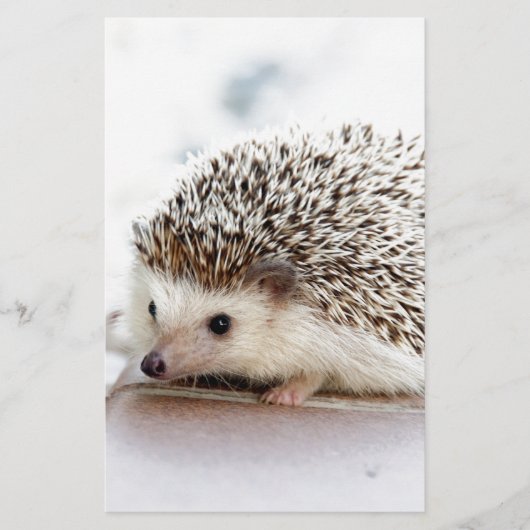 De Cute Baby Hedgel Briefpapier (Voorkant)