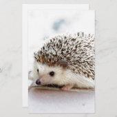 De Cute Baby Hedgel Briefpapier (Voorkant / Achterkant)