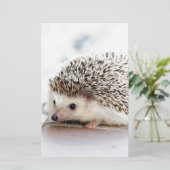 De Cute Baby Hedgel Briefpapier (Staand voorkant)
