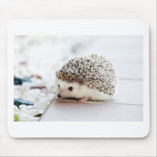 De Cute Baby Hedgel Muismat