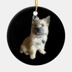 De Cutest Cairn Terrier ooit.  Cuter dan Toto. Keramisch Ornament