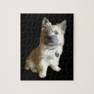 De Cutest Cairn Terrier ooit. Cuter dan Toto. Legpuzzel