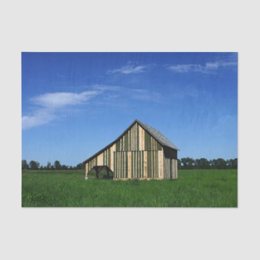 De Cutest Striped Barn Ever. Tissuepapier (Voorkant)