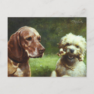 De Cynic en de Filosoof Briefkaart