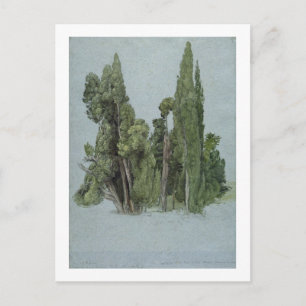 De Cypresses in de Villa d'Este, Tivoli (m/c en g) Briefkaart