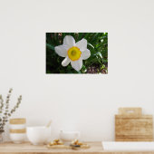 De Daffodil Poster (Keuken)
