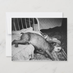 De dag na de Drink hond Kaart