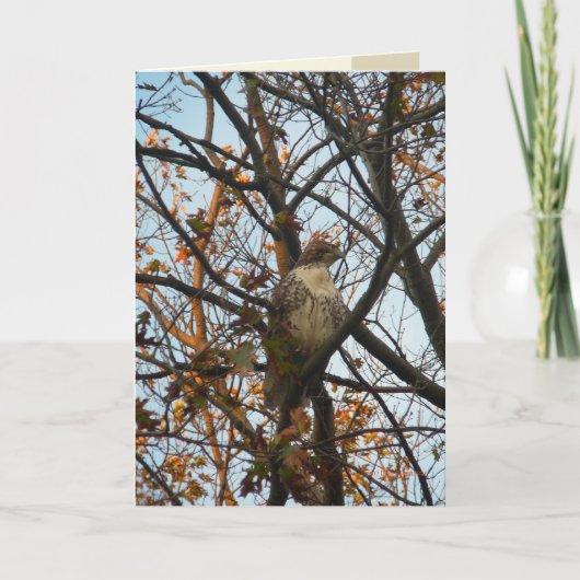 De Dag van de havik Kaart (Voorkant)