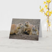 De Dag van Groundhog Kaart (Gele Bloem)