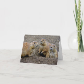 De Dag van Groundhog Kaart