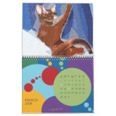 De dagelijkse Abyssiniaanse kalender 2013 (Mar 2026)