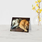 De dagelijkse kaarten van de Nota met Katten! (Gele Bloem)