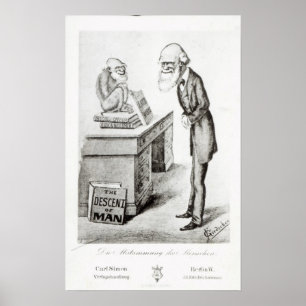 De daling van het Man Poster