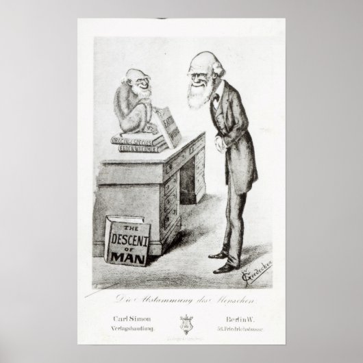 De daling van het Man Poster (Voorkant)