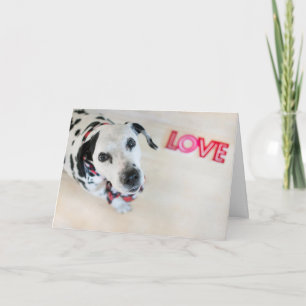 De Dalmatische Valentijnse Kaart van de Liefde