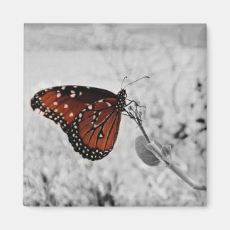 De dame aan het meer magneet