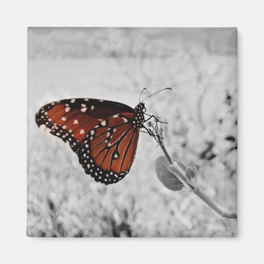 De dame aan het meer magneet (Voorkant)